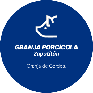 Granja Apícola - Zapotitán